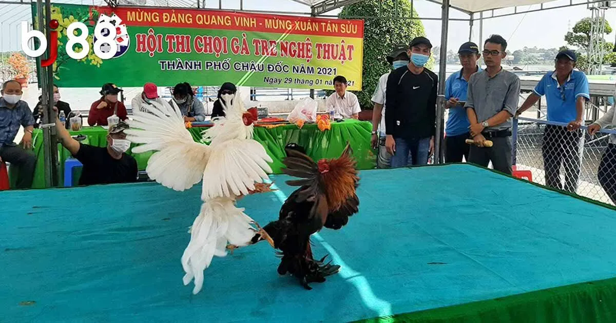 L&yacute; do c&aacute;c trận đấu g&agrave; tre BJ88 lu&ocirc;n thu h&uacute;t