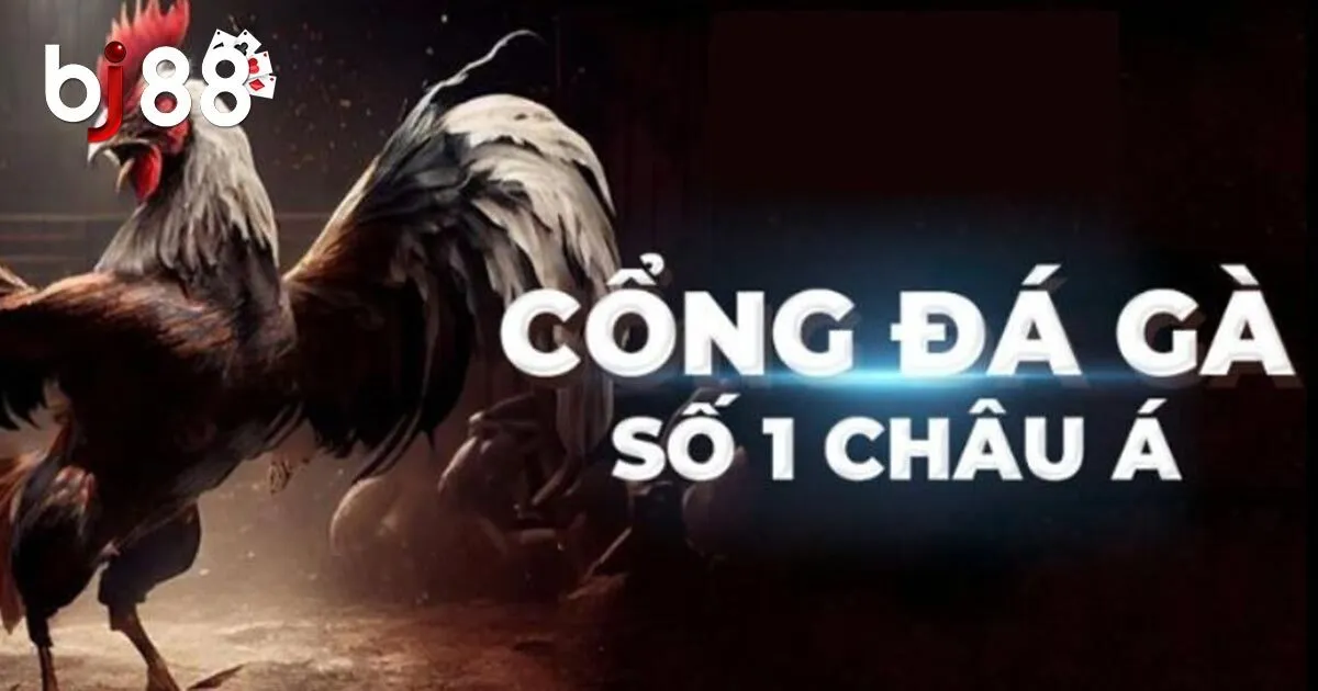 L&yacute; do đ&aacute; g&agrave; trực tiếp nổi bật hơn đ&aacute; g&agrave; truyền thống