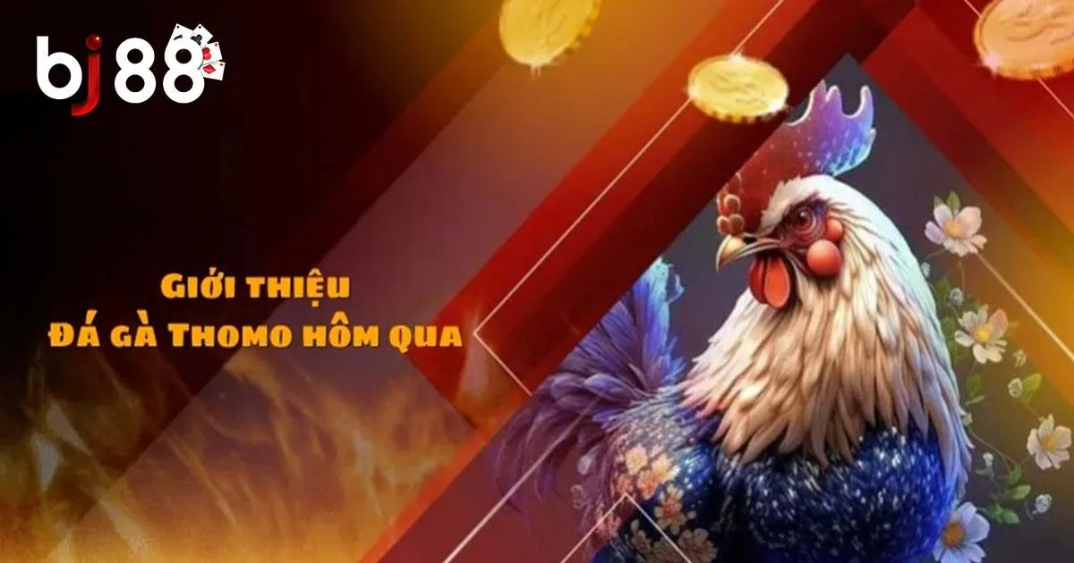 Loại h&igrave;nh đ&aacute; g&agrave; Thomo phổ biến kh&ocirc;ng n&ecirc;n bỏ lỡ