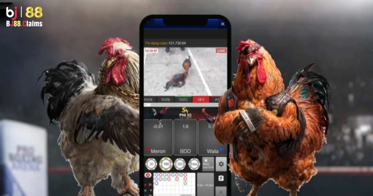 Hướng dẫn c&aacute;ch chơi đ&aacute; g&agrave; BJ88 cho người mới