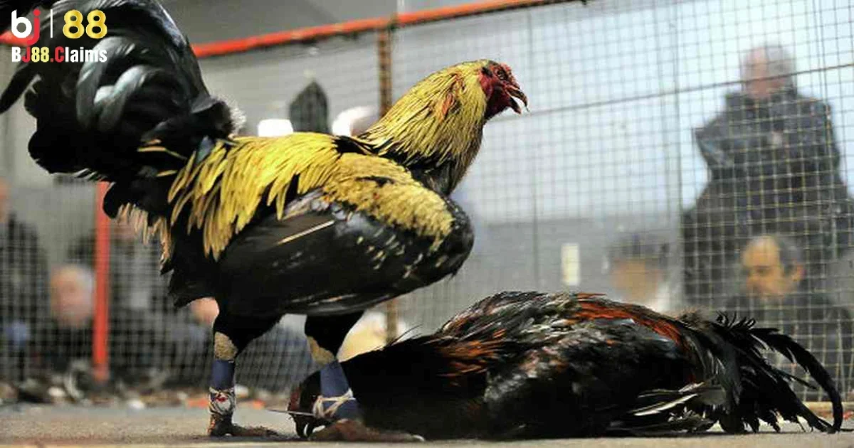 Bước 4: Đăng nhập v&agrave;o t&agrave;i khoản