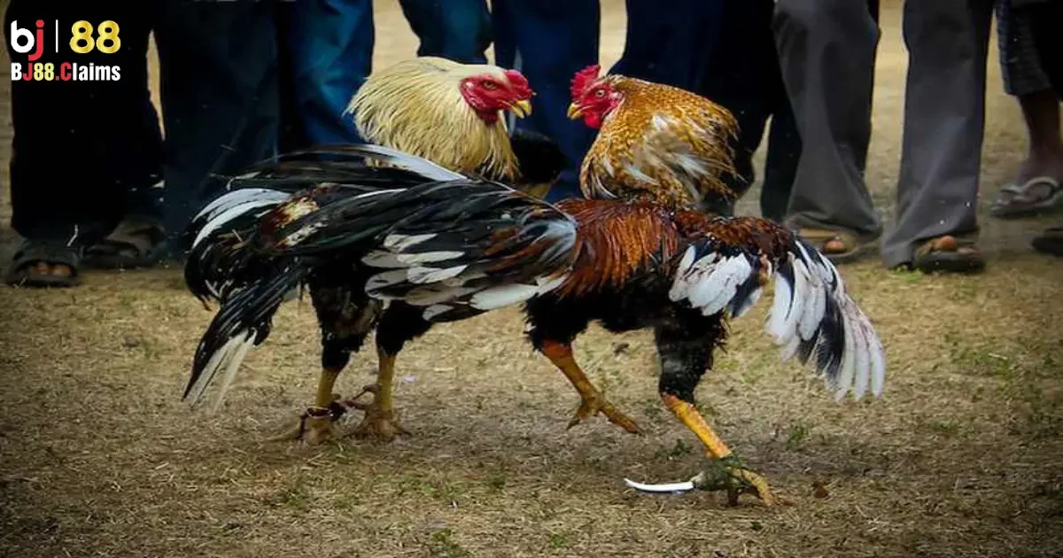 R&uacute;t kinh nghiệm sau mỗi trận đấu