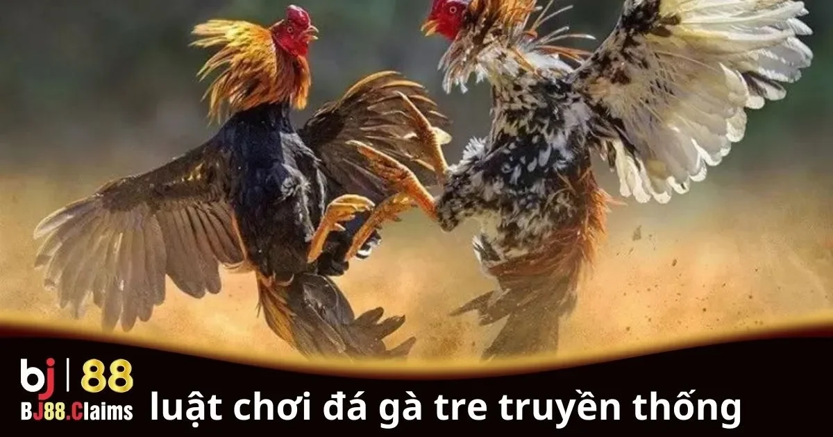 Luật chơi đ&aacute; g&agrave; tre truyền thống cho người mới