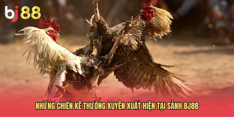 Những chiến k&ecirc; thường xuy&ecirc;n xuất hiện tại sảnh BJ88